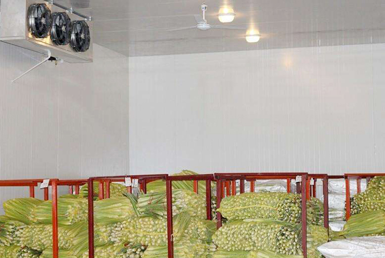 冷庫設(shè)計(jì)安裝